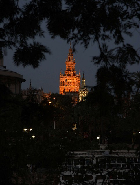 Giralda from Calle Betis