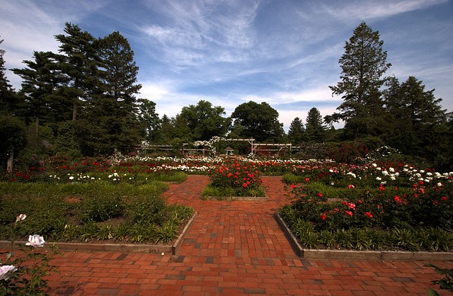 The Rose Garden at Colonial Park