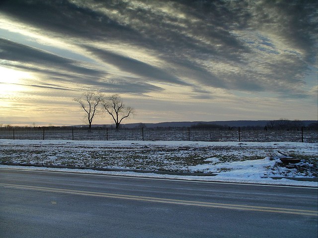 winter field