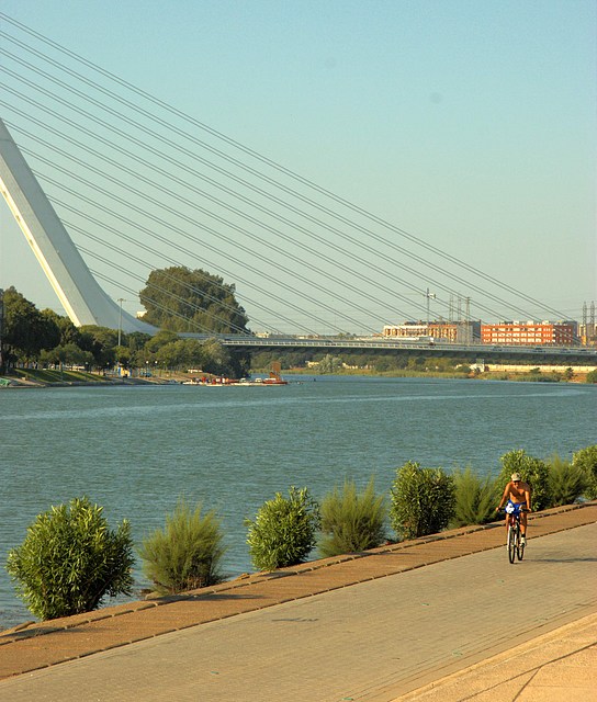 Cyclist in front of the Puente del Alamillo