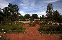 The Rose Garden at Colonial Park